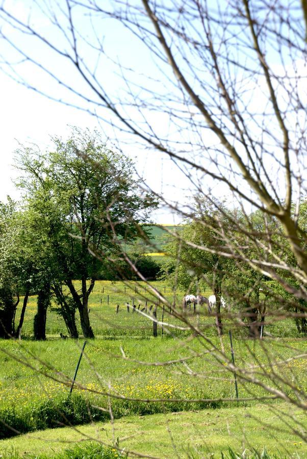 Chez Catharina Oldtimer B&B Levoncourt  エクステリア 写真